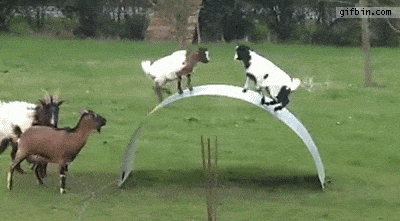 Acid GIFs, May 18 (25 gifs)