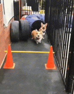 Acid GIFs, May 18 (25 gifs)