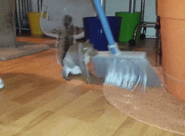 Acid GIFs, May 18 (25 gifs)