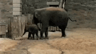 Acid GIFs, May 18 (25 gifs)