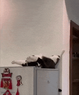 Acid GIFs, May 18 (25 gifs)