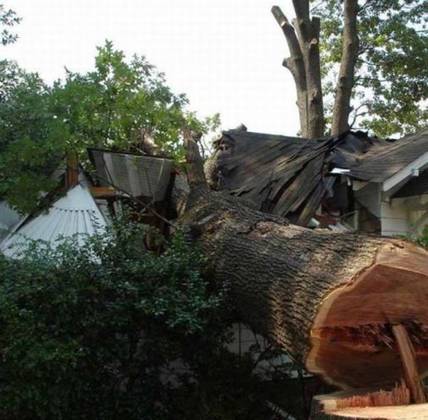 Bad Days Happen (25 pics)