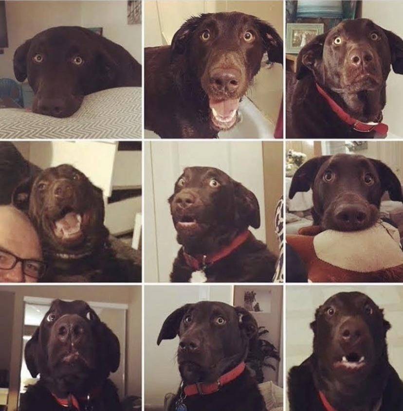 Daily Pictures. Part 1 (74 pics)
