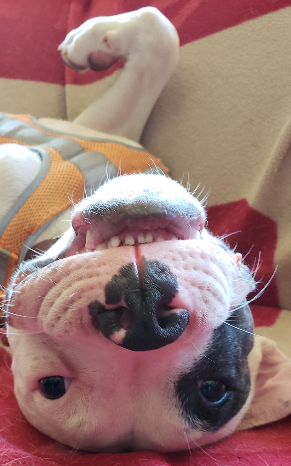 Daily Pictures. Part 1 (74 pics)