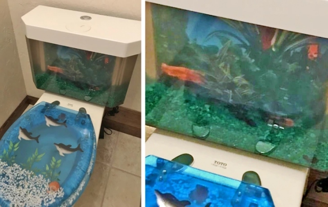 Odd Designs (15 pics)