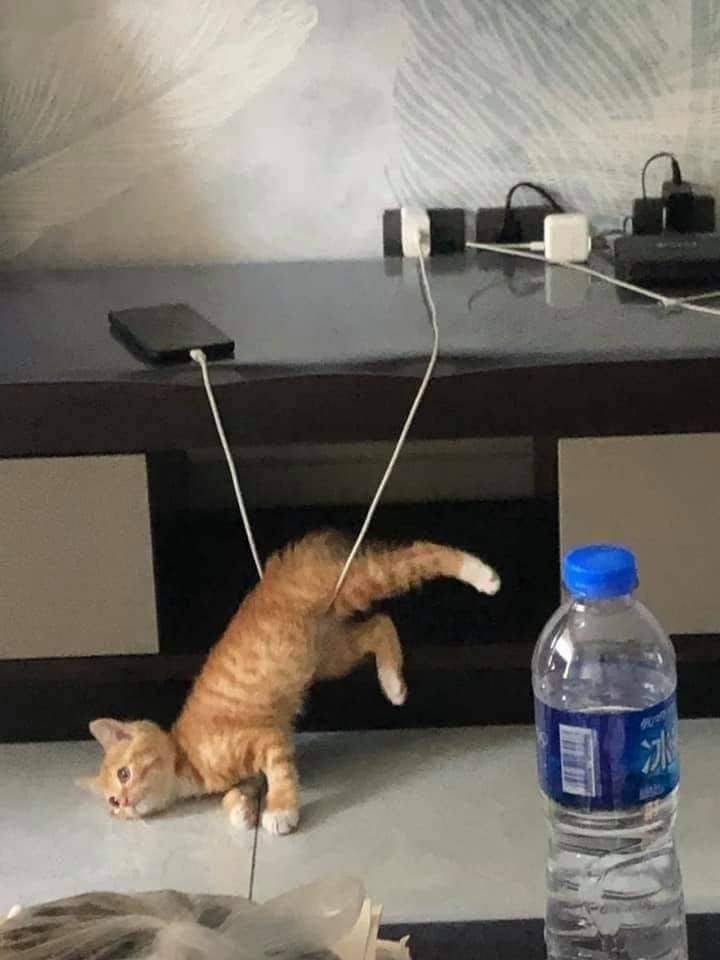 Daily Pictures. Part 1 (76 pics)