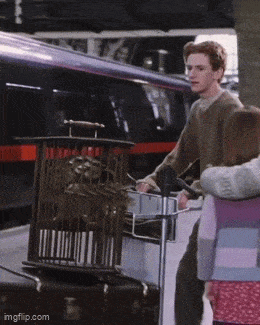 Acid GIFs, May 20 (25 gifs)