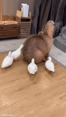 Acid GIFs, May 20 (25 gifs)