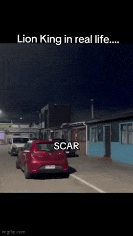 Acid GIFs, May 20 (25 gifs)
