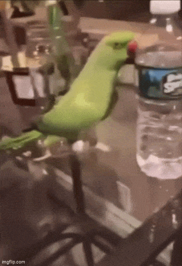 Acid GIFs, May 20 (25 gifs)