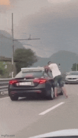 Acid GIFs, May 19 (25 gifs)
