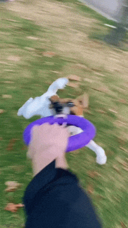 Acid GIFs, May 19 (25 gifs)