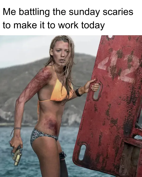 Work Memes (20 pics)