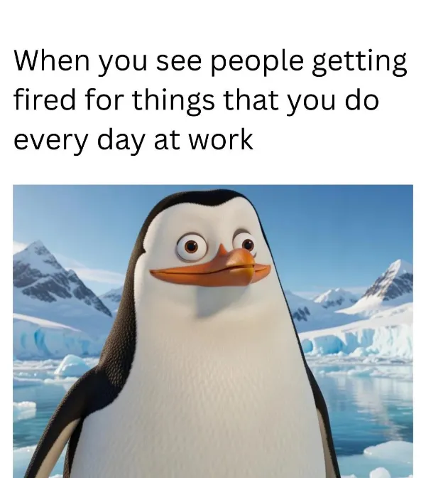 Work Memes (20 pics)