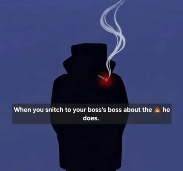 Work Memes (20 pics)