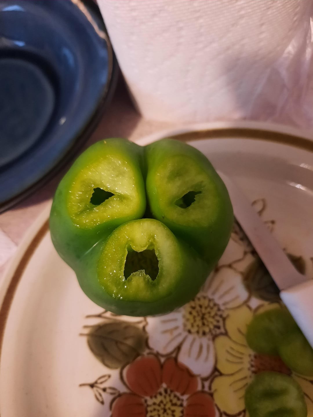 This Is Pareidolia (25 pics)