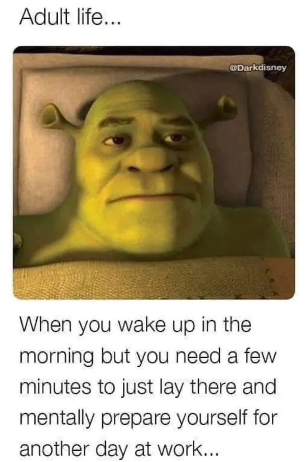 Work Memes (20 pics)
