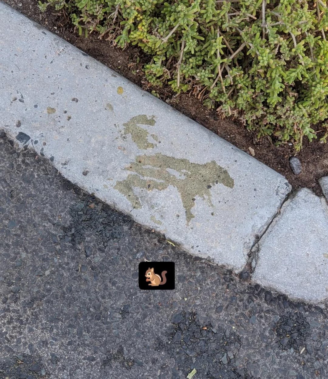 This Is Pareidolia (25 pics)
