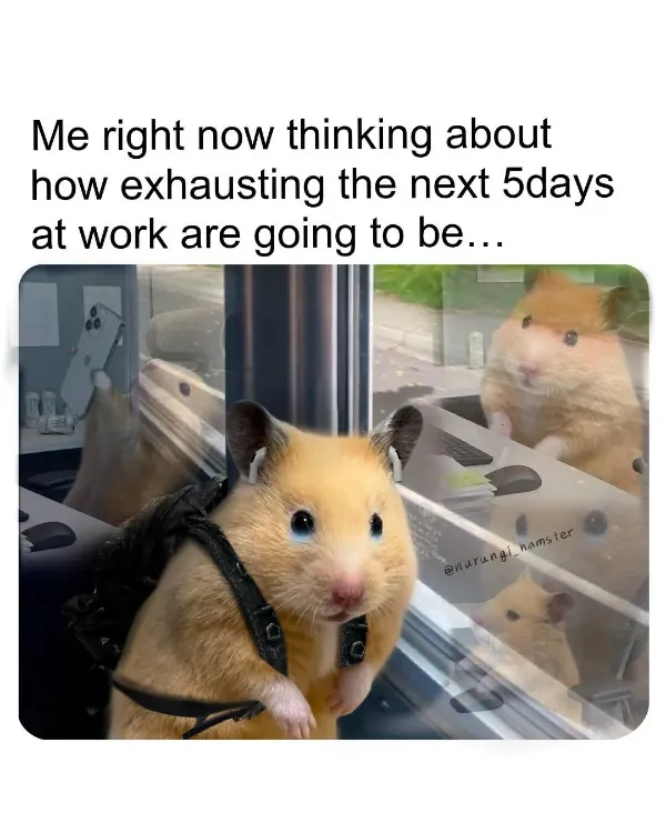 Work Memes (20 pics)