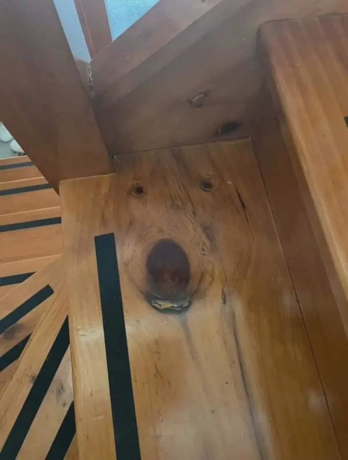 This Is Pareidolia (25 pics)