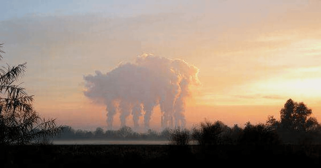 This Is Pareidolia (25 pics)