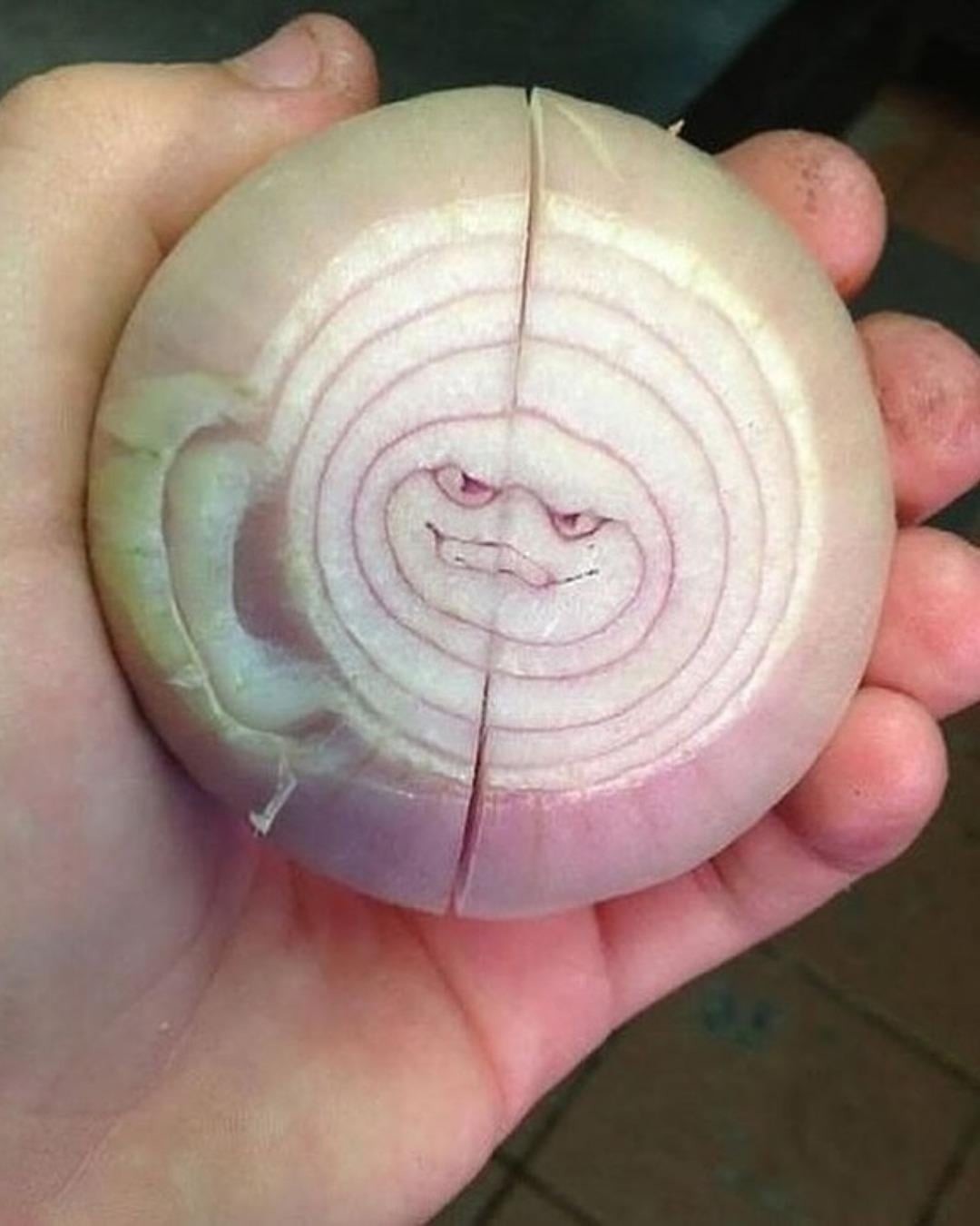 This Is Pareidolia (25 pics)