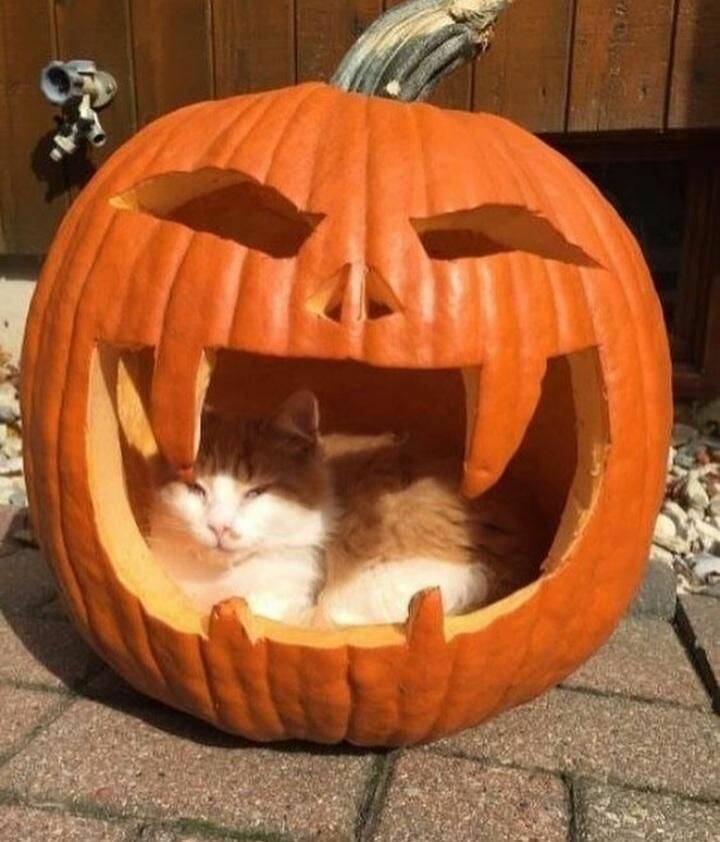 Daily Pictures. Part 1 (81 pics) Daily Pictures. Part 1 (81 pics)