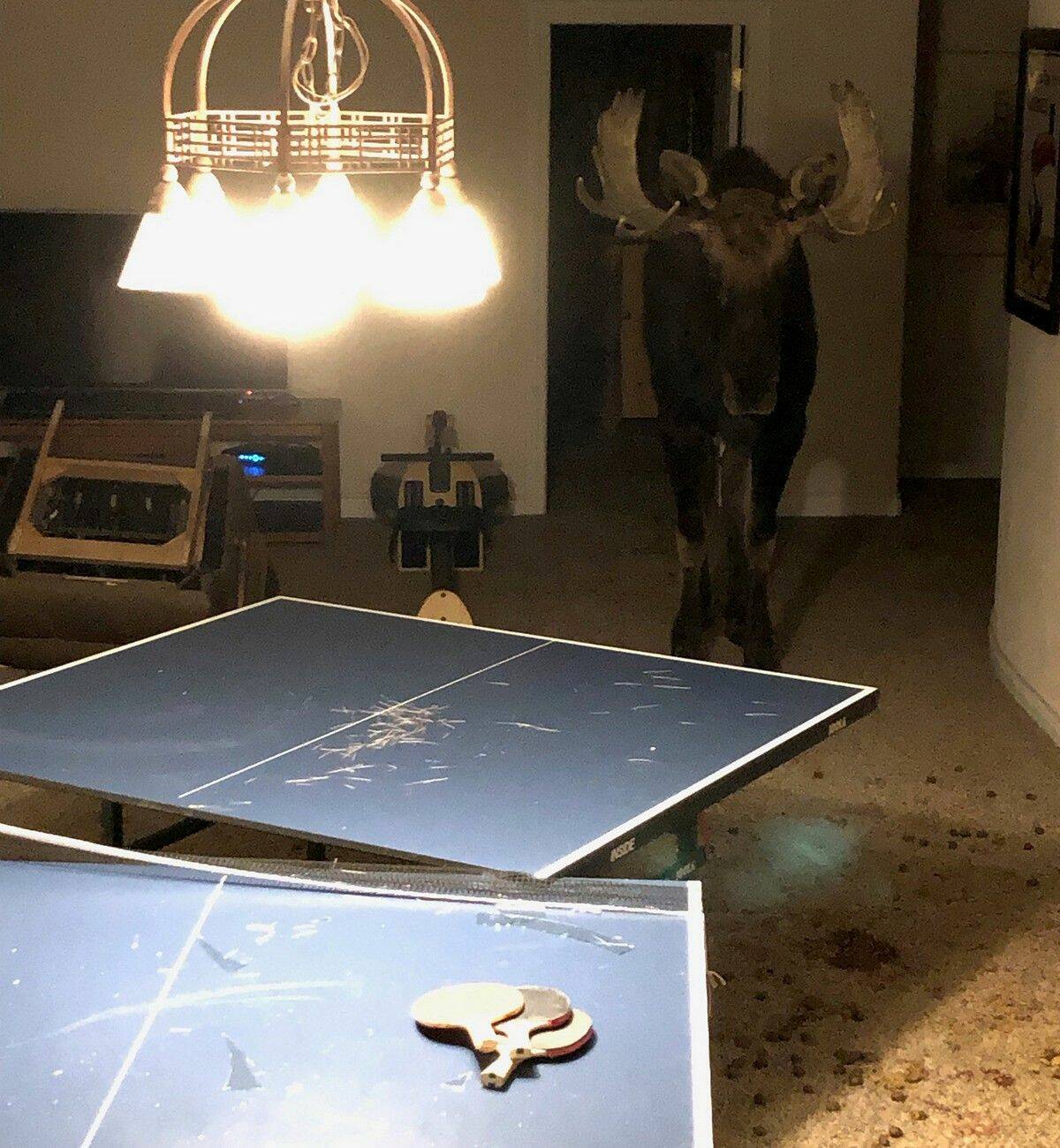 Daily Pictures. Part 2 (80 pics)