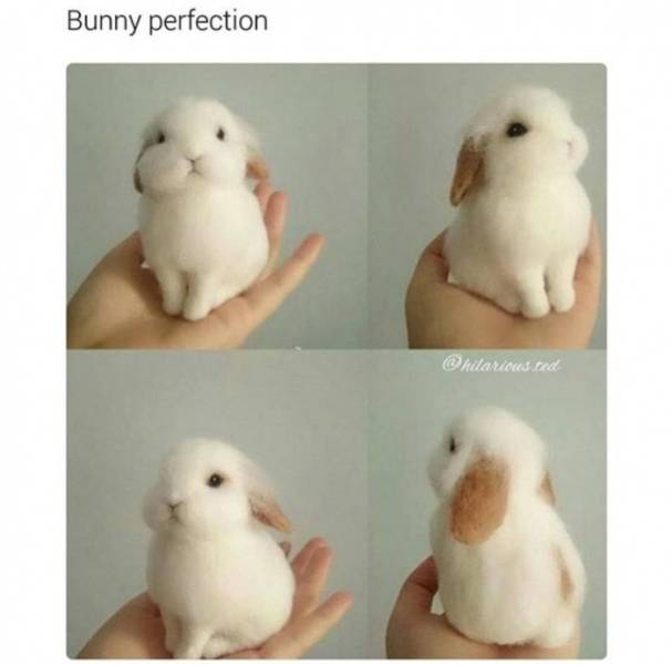 Daily Pictures. Part 2 (80 pics)