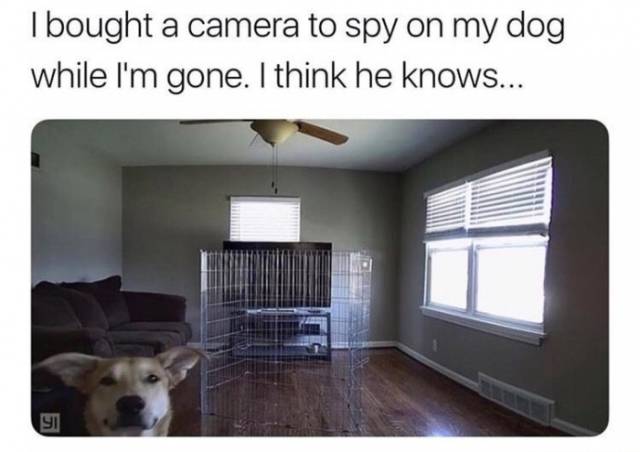 Daily Pictures. Part 2 (80 pics)