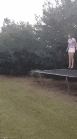 Acid GIFs, May 21 (25 gifs)