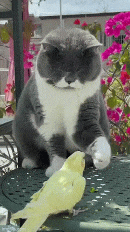 Acid GIFs, May 21 (25 gifs)