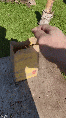 Acid GIFs, May 21 (25 gifs)