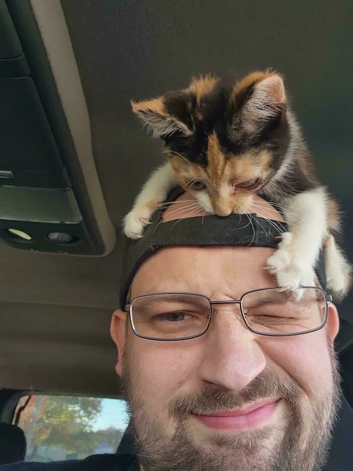 Cute And Funny Cats (25 pics)