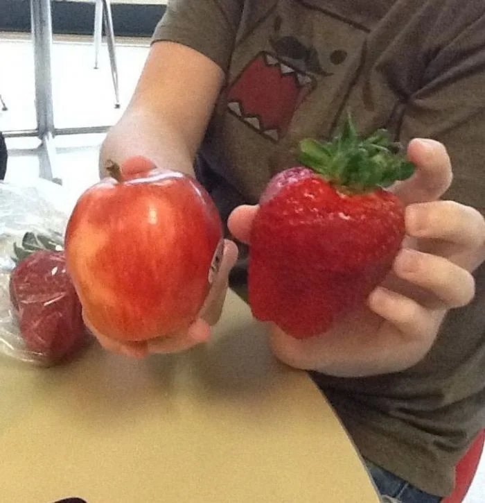 Giant Things (15 pics)