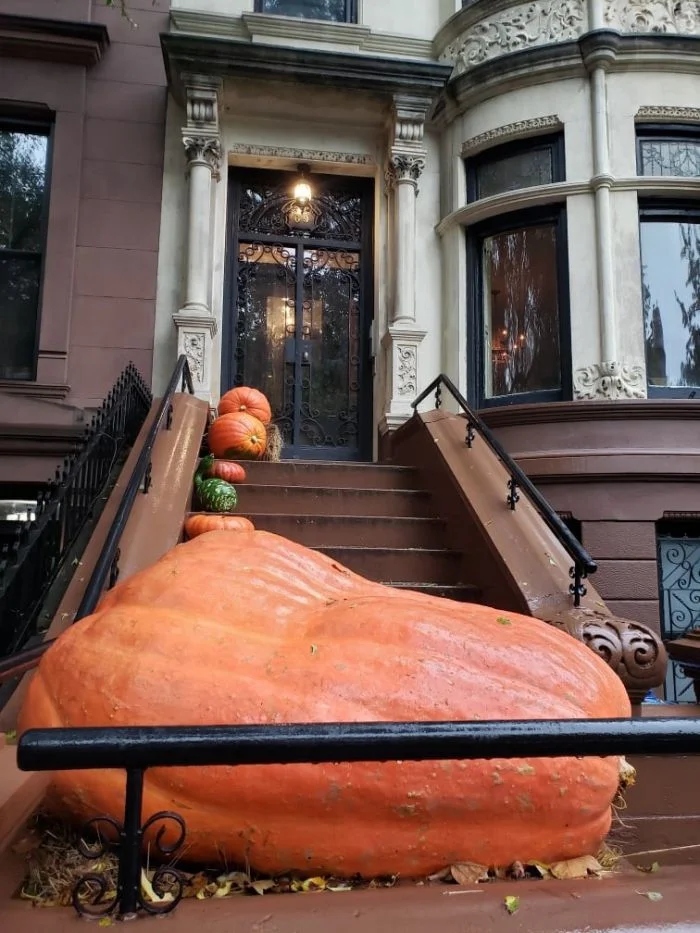 Giant Things (15 pics)