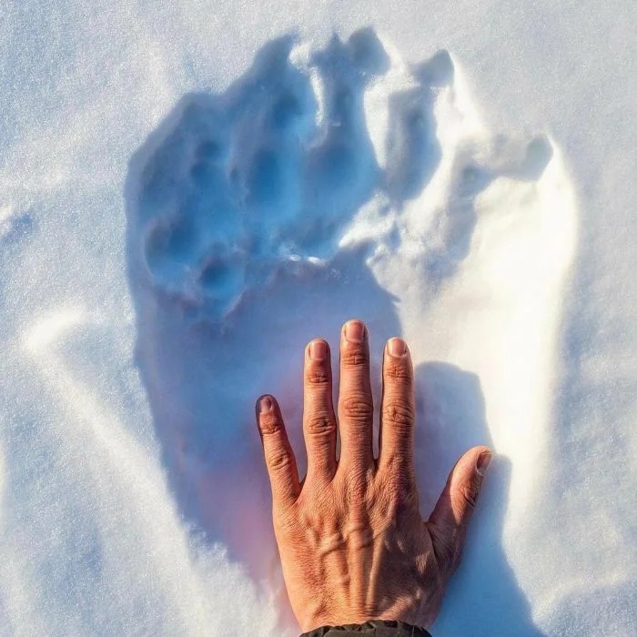 Giant Things (15 pics)