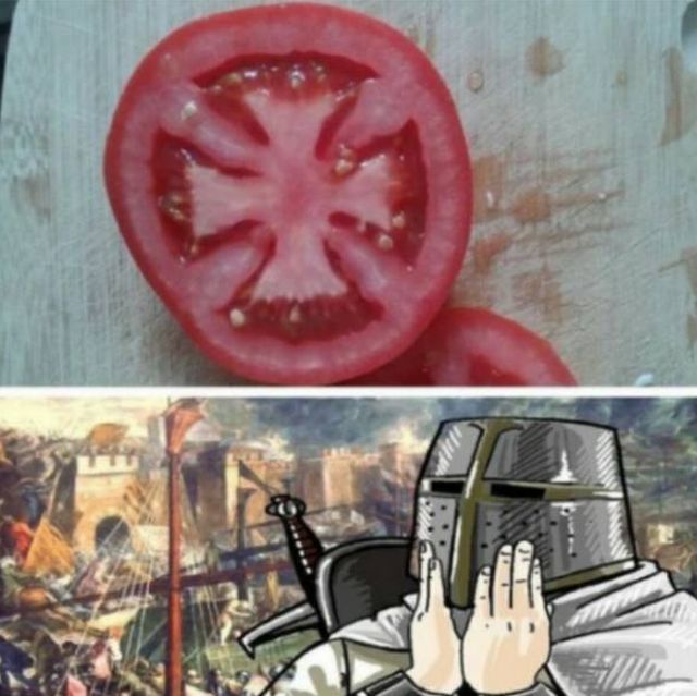 Daily Pictures. Part 2 (75 pics)
