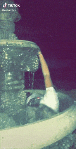Acid GIFs, May 22 (25 gifs)