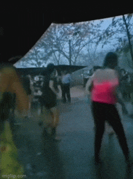 Acid GIFs, May 22 (25 gifs)