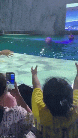 Acid GIFs, May 22 (25 gifs)