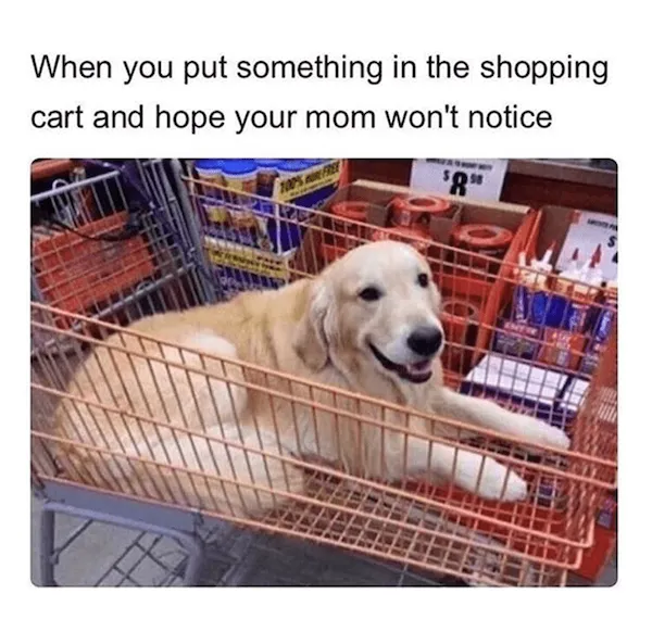 Shopping Memes (25 pics) Shopping Memes (25 pics)