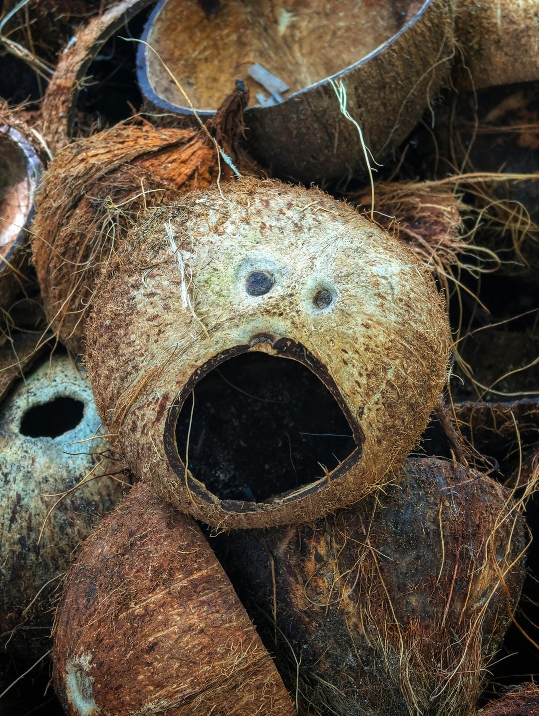 This Is Pareidolia (25 pics)
