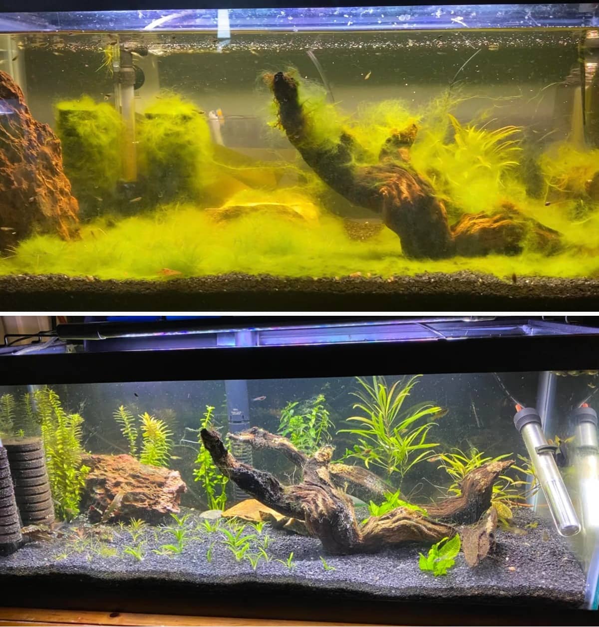 Before And After Cleaning (15 pics)