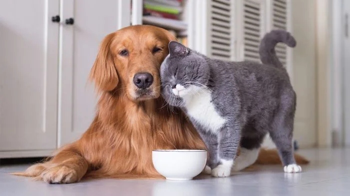 Amazing Friendship (23 pics)