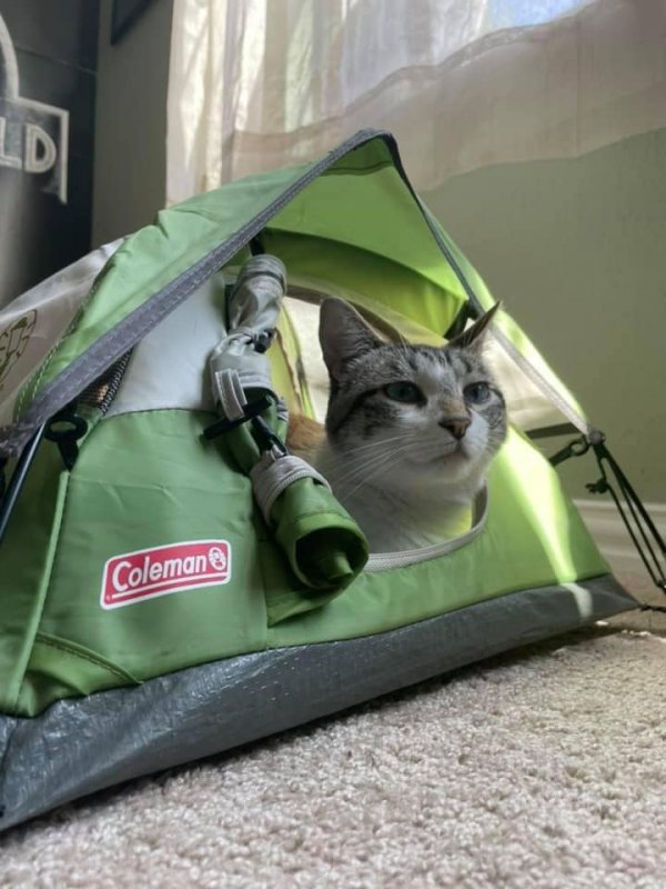 Weird Finds In Thrift Shops (17 pics) Weird Finds In Thrift Shops (17 pics)