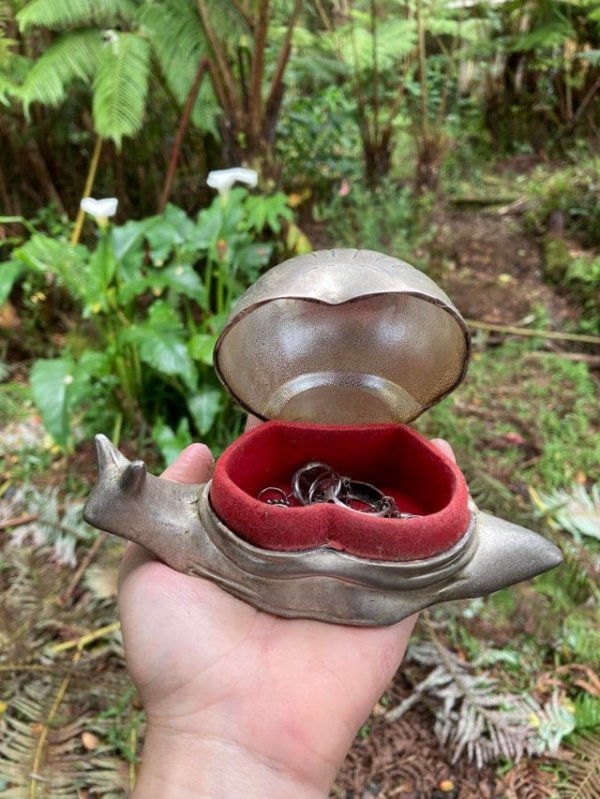 Weird Finds In Thrift Shops (17 pics) Weird Finds In Thrift Shops (17 pics)