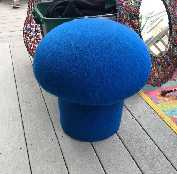 Weird Finds In Thrift Shops (17 pics) Weird Finds In Thrift Shops (17 pics)