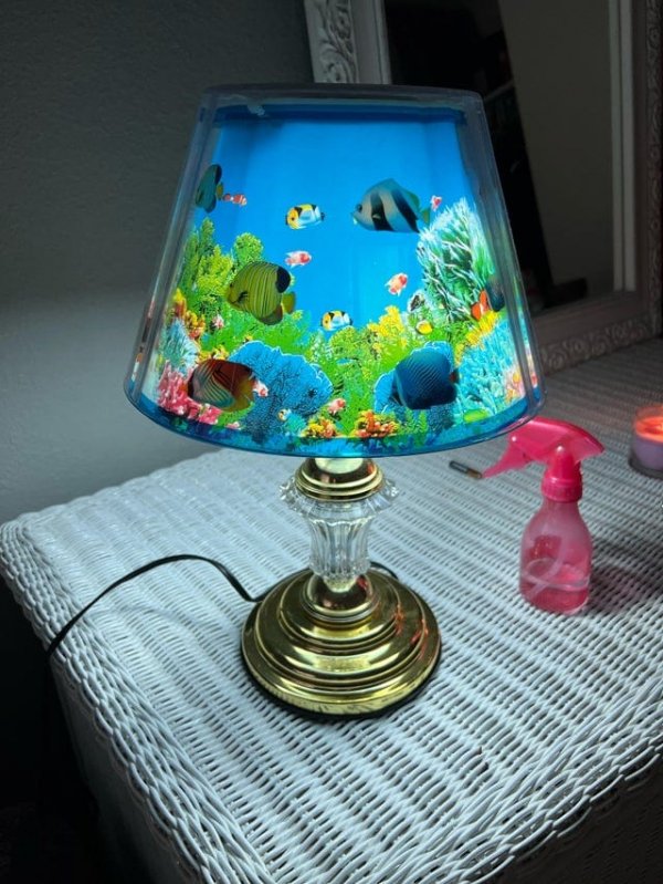 Weird Finds In Thrift Shops (17 pics) Weird Finds In Thrift Shops (17 pics)