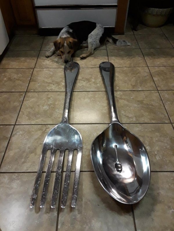 Weird Finds In Thrift Shops (17 pics)
